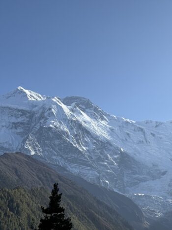 Mountain