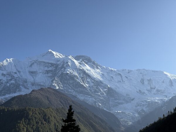 Mountain